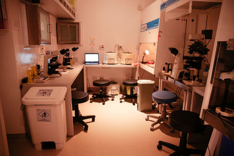 Estrutura do laboratório da Clínica Semear Fertilidade (5)